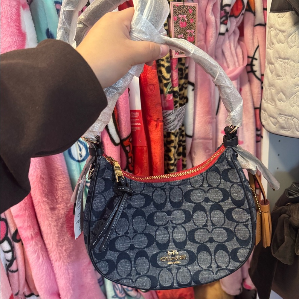 Coach Signature Canvas Small Hobo Bag in Blue